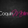 Coquin-Malin offre un sextoy aux femmes abandonnées à cause de GTA 5