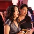 Grey's Anatomy saison 10, épisode 4 : Cristina et Callie