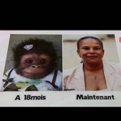 Christiane Taubira comparée à un singe par une candidate du FN