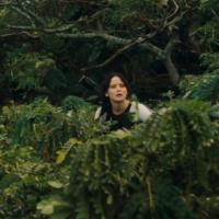 Hunger Games l&#039;embrasement : l&#039;arène se dévoile dans une nouvelle bande-annonce