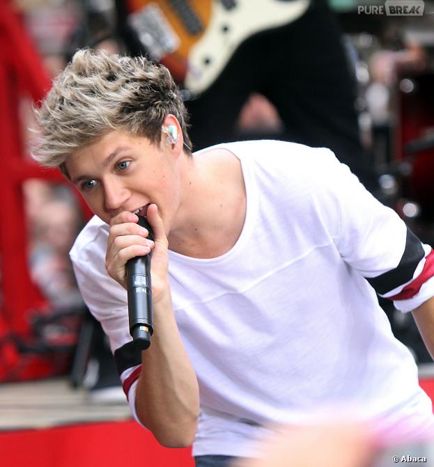 Niall Horan en couple avec Ellie Goulding ? La chanteuse revient sur les rumeurs