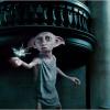Harry Potter : J.K. Rowling va adapter Fantastic Beats and Where to Find Them au cinéma