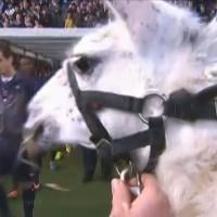 Serge le Lama, footballeur du dimanche à Bordeaux