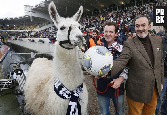 Serge le Lama, sur la pelouse du Stade Chaban-Delmas pour le match de Ligue 1 Bordeaux-Nantes, le 10 novembre 2013
