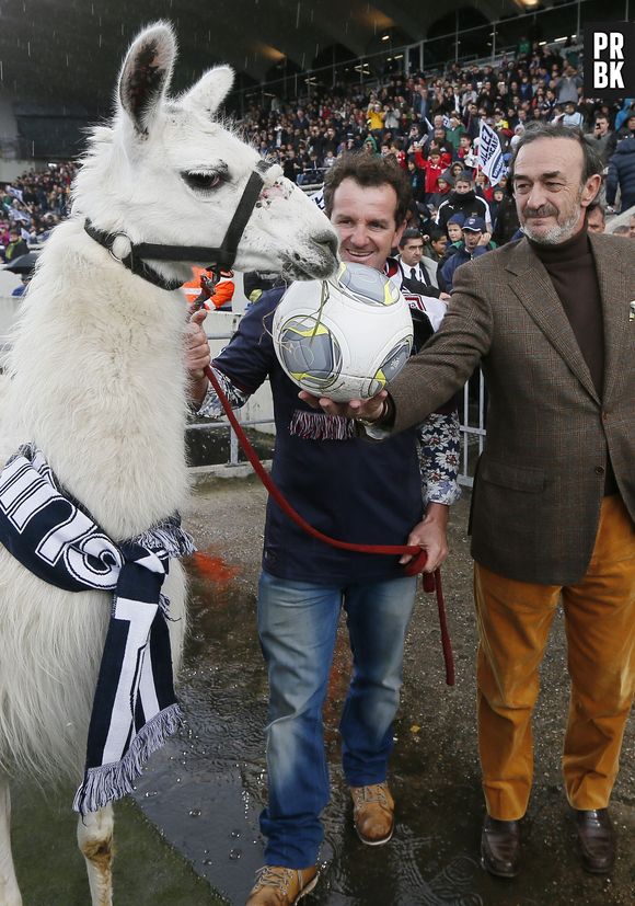 Serge le Lama, sur la pelouse du Stade Chaban-Delmas pour le match de Ligue 1 Bordeaux-Nantes, le 10 novembre 2013
