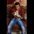 Un libanais met son chat au micro-onde : l'animal sain et sauf
