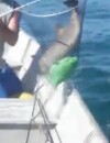 Un bébé dauphin pris au piège d'un sac plastique sauvé par des pêcheurs