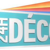 "24h Déco" : pots de peinture et perceuses sur le ring le 6 janvier sur TF1