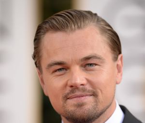 Leonardo DiCaprio aux Golden Globes 2014, le 12 janvier 2014 à Los Angeles