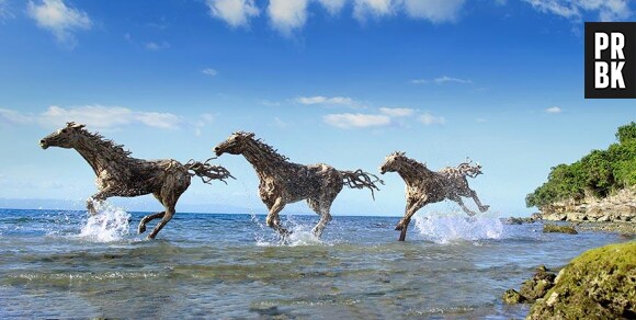 Des chevaux sculptés dans du bois flotté