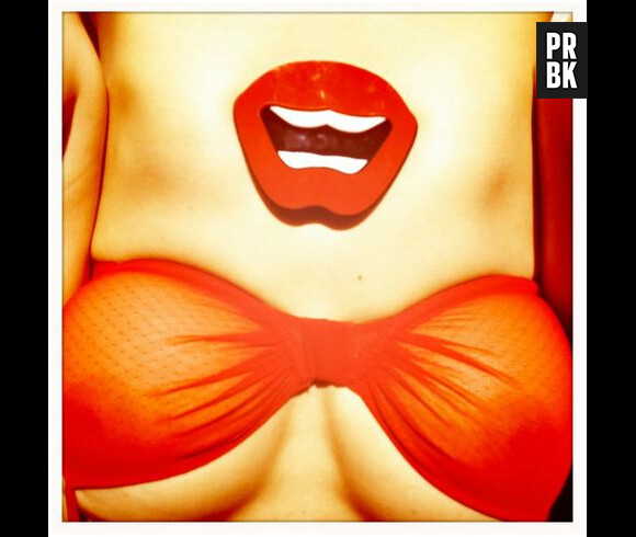 Frédérique Bel nue en mai 2012 pour soutenir François Hollande