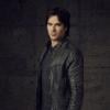 Vampire Diaries saison 5 : Damon reçoit des conseils de Stefan pour reconquérir Elena dans l'épisode 100