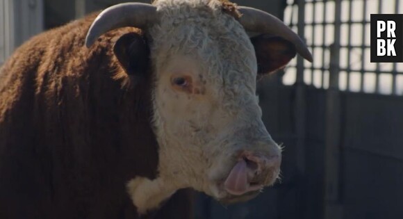 Super Bowl 2014 : le top et le flop des pubs