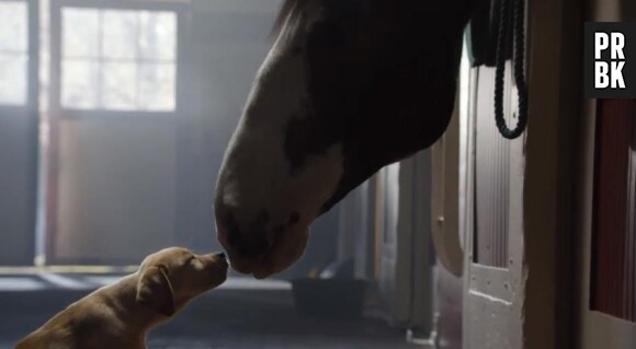 Super Bowl 2014 : le top et le flop des pubs