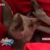 Les Anges de la télé-réalité 6 : le kangourou de l'aventure