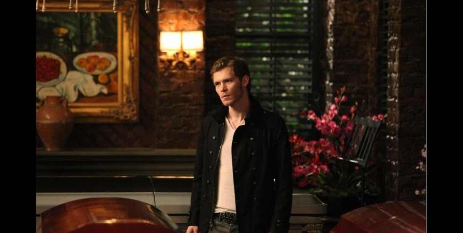 Vampire Diaries saison 5 : Joseph Morgan ne croit pas à l&#039;avenir de Klaroline