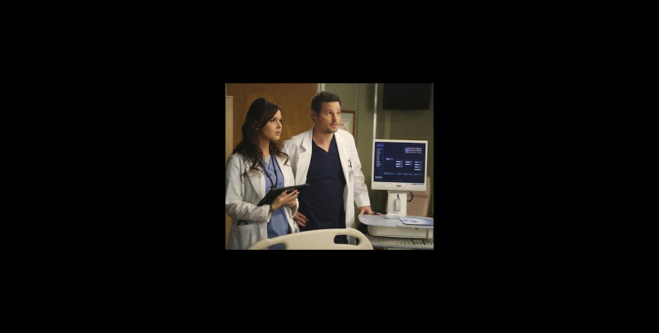  Grey&#039;s Anatomy saison 10 : quel avenir pour Alex ? 