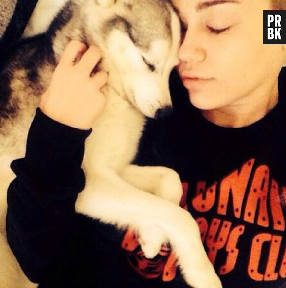Miley Cyrus toujours attristée par la mort son chien Floyd