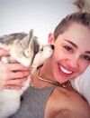  Miley Cyrus : son chien Floyd est mort r&eacute;cemment 