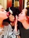  Miley Cyrus s'est consol&eacute; avec un autre chien, Mary Janes 