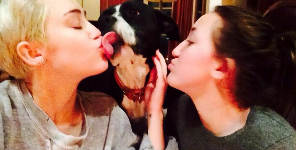  Miley Cyrus s&#039;est consol&amp;eacute; avec un autre chien, Mary Janes 