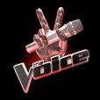  The Voice : TF1 diffuse la finale ce samedi 10 mai 2014 