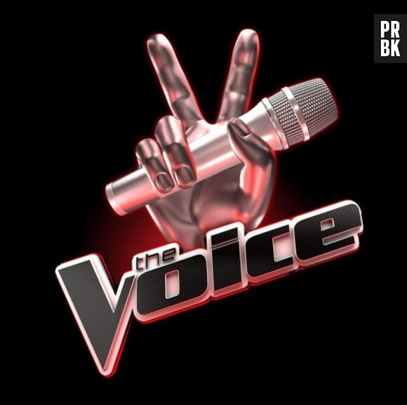 The Voice : TF1 diffuse la finale ce samedi 10 mai 2014