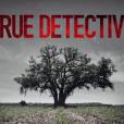  True Detective saison 2 : le casting est en cours 