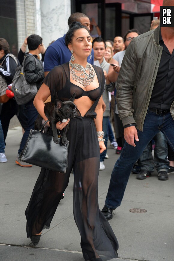 Lady Gaga se balade avec son chien, à New York le 12 juin 2014