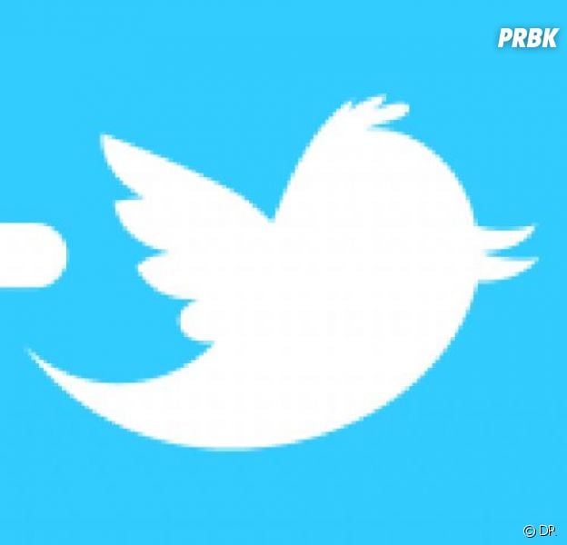 Twitter accueille les GIF