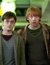  Harry Potter : une nouvelle a &eacute;t&eacute; publi&eacute;e et d&eacute;voile sa vie d'adulte 