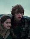 Harry Potter : Rupert Grint et Emma Watson sur une photo