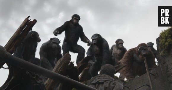 La Planète des singes 2 : le troisième film sera une suite directe