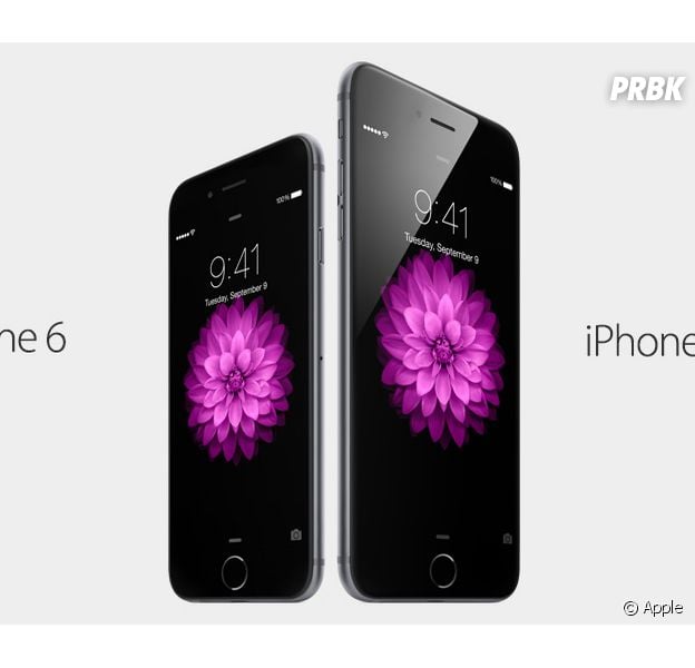 iPhone 6 et 6 Plus
