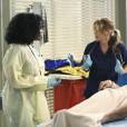 Grey's Anatomy saison 11, épisode 1 : Meredith et Stephanie sur une photo