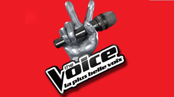 The Voice 4 :un talent de la saison 2 & le membre d'un groupe connu au programme