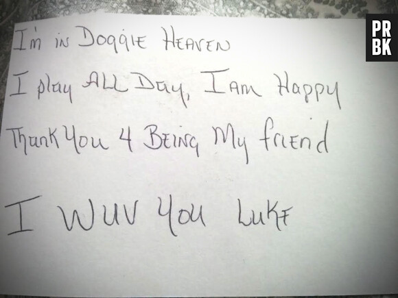 Luke, le petit garçon de 3 ans, a écrit plusieurs lettres à son Beagle décédé. Le toutou lui a répondu depuis le paradis des chiens !