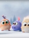 Angry Birds le film : les Hatchlings se dévoilent dans une vidéo de Noël