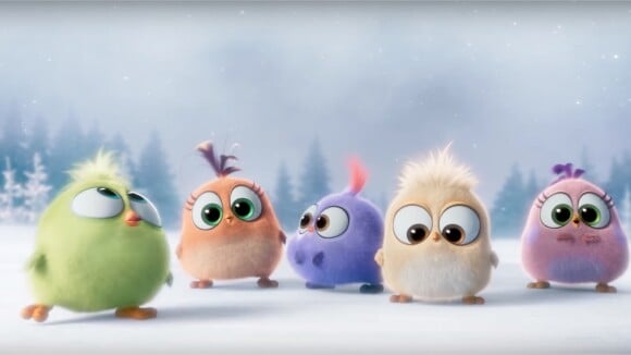 Angry Birds le film : découvrez les Hatchlings, les nouvelles créatures craquantes