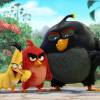 Angry Birds le film : Red, Chuck et Bomb au programme