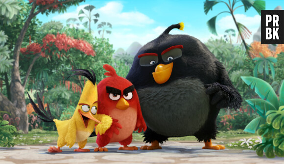 Angry Birds le film : Red, Chuck et Bomb au programme