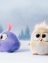 Angry Birds le film : les Hatchlings, nouvelles créatures trop mignones