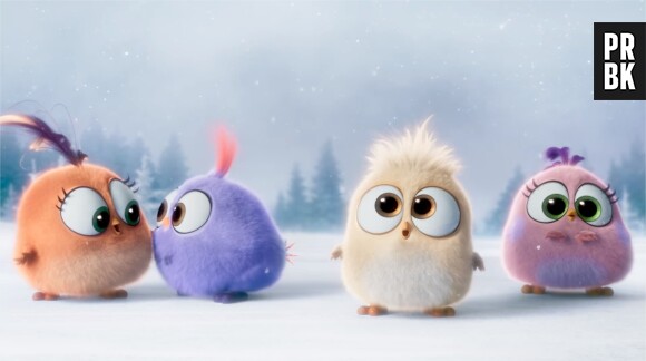 Angry Birds le film : les Hatchlings, nouvelles créatures trop mignones