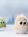 Angry Birds le film : les Hatchlings, les nouvelles créatures trop mignones