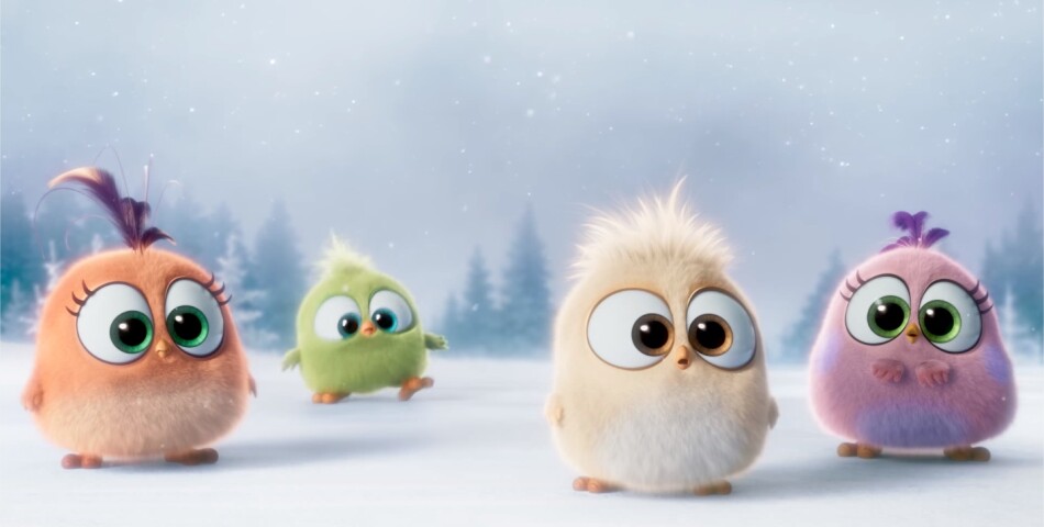 Angry Birds le film : les Hatchlings, les nouvelles créatures trop mignones