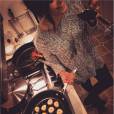 Nina Dobrev : séance de cuisine pour ses amis