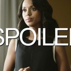 Scandal saison 5 : un mari de Desperate Housewives débarque