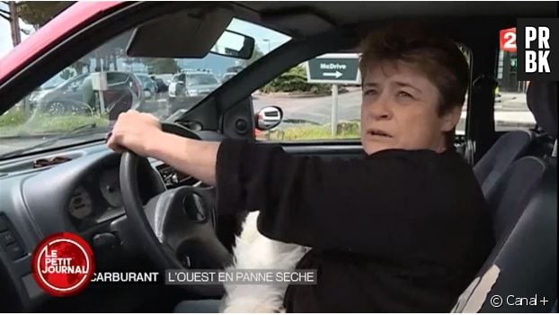 Le Petit Journal : Yann Barthès s&#039;amuse d&#039;une femme qui s&#039;énerve sur son chien en pleine interview dans le JT de France 2