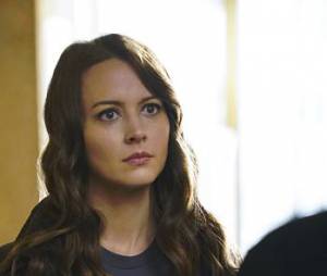 Person of Interest saison 5 : Root est morte dans l'épisode 100