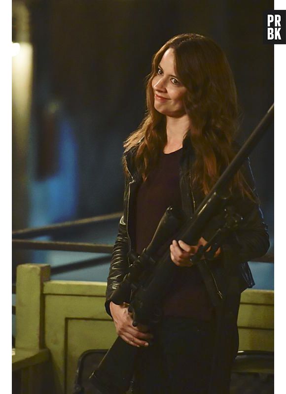 Person of Interest saison 5 :